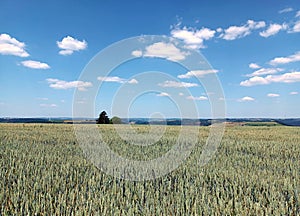 Field in front of blue sky in beautiful nature with trees and hills in background