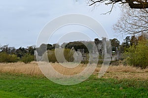 Field In Front of Desmond Castle Ruins in Ireland photo