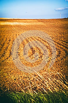 Field with furrows and clear sky