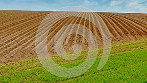 Freshly plowed field with furrows in the field. Brown, healthy soil. Crumbly, slightly loamy, fertile soil. photo