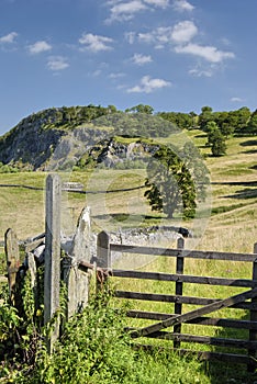 Field gate near Langcliffe