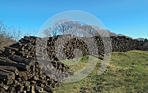 Field with giant pile of railway cross ties