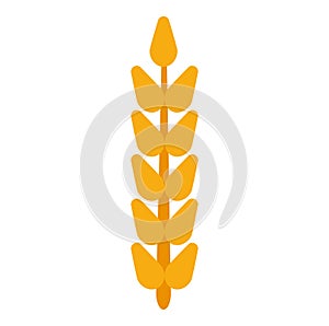 Field grain ear wheat vector. Harvest farm bread rye agriculture food. Cereal barley isolated background plant. Crop icon golden c