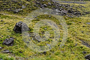 Field of grass and black rocks