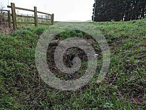 A Field With Grass and a Fence in the Background