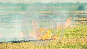 Field grass fire and smoke motion.