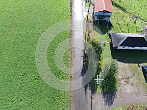 A field of grass grown for hay