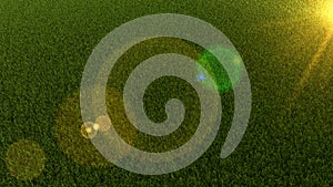 Field of grass with lens flare. 3d render. Graphic illustration. Background
