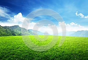 Field of grass in mountain