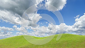 Field of grass and perfect sky