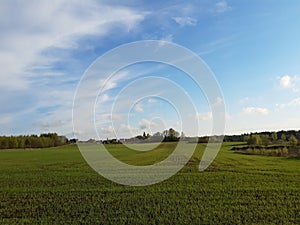 Field of grass and perfect sky