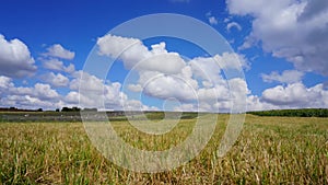 Field grass sky landscape