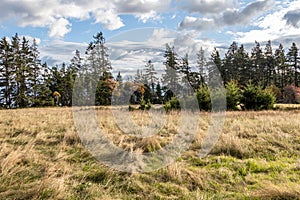 View of field and trees in autumn at Aylard Farm