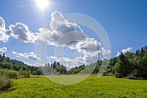 Field of grass with woods and perfect blue sky