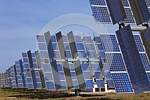 Field of Green Energy Photovoltaic Solar Panels
