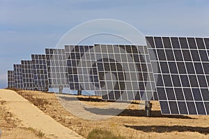 A Field of Green Energy Photovoltaic Solar Panels