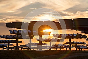 Field of Green Energy Photovoltaic Solar Panels Sunset or Sunrise