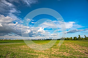 Field of green fresh salad and idustrial background photo