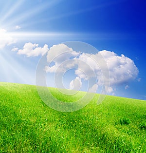 Field of green grass and blue cloudy sky