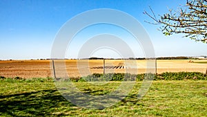 Field with green grass with farm land in the background