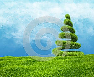 Field of green grass and sky with helix tree.