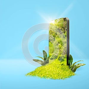 Field with green grass and trees with sunlight on the mobile phone screen