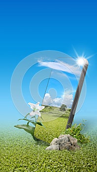 Field with green grass and trees with sunlight on the mobile phone screen