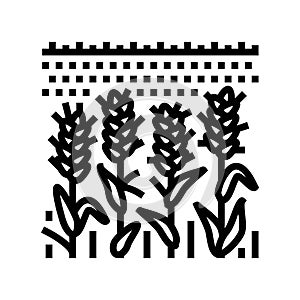 field green plants wheat line icon vector illustration