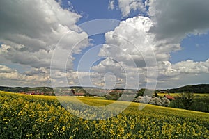 field in Hagen, Germany