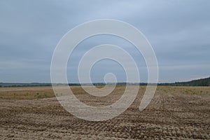 Field after harvesting sunflower