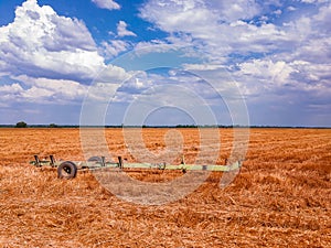 Field after harvesting wheat with agricultural machinery.