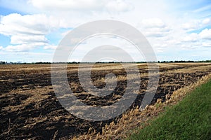 A field that has been burned to clear crop residue.