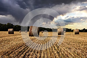 Field with hay bales under stormy sky and rays of light