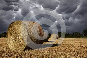 Field with hay bales under stormy sky and rays of light