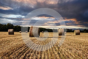 Field with hay bales under stormy sky and rays of light