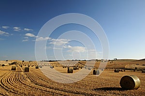 Field of hay, Barossa Valley