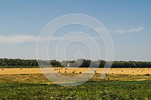 Field with haystacks