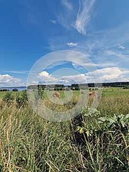A field with haystacks and a river on  horizon