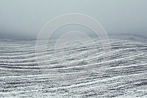 Field in the haze in wintertime.
