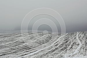 Field in the haze in wintertime.