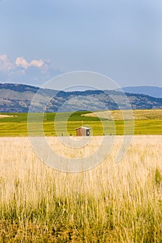 Field in Helena with a Shed and Mountains on the Background photo