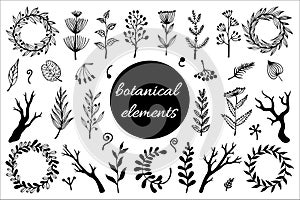Field herbs, branches, wreaths vector set. Hand-drawn illustration isolated on white background. Plants with berries