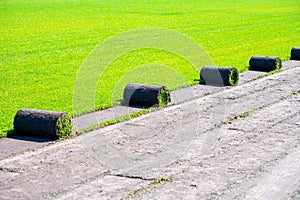 Field with high-quality, multi-purpose ryegrass or fescue turf for healthy, green and hard wearing lawn, turf grass rolls ready