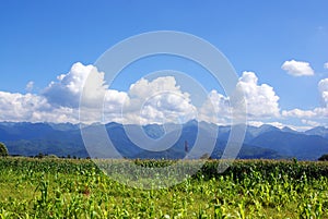 Field, hills mountains, clouds and blue sky