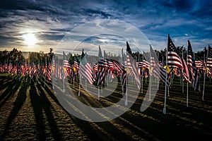 Field of Honor