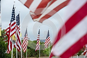 Field of Honor Flag Display in Newport Beach CA