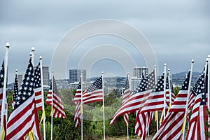 Field of Honor Flag Display in Newport Beach CA