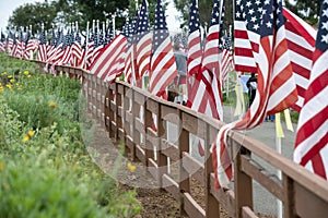 Field of Honor Flag Display in Newport Beach CA