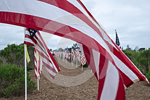 Field of Honor Flag Display in Newport Beach CA