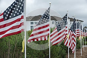 Field of Honor Flag Display in Newport Beach CA